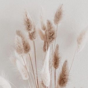 Meet your Posher, Liv